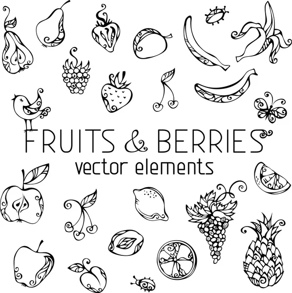 Set of fruits and berries — Stock Vector