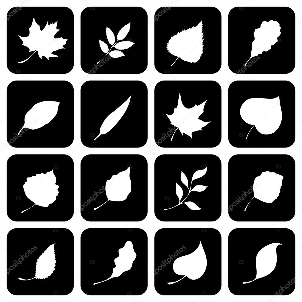 Set of square icons with  leaves.