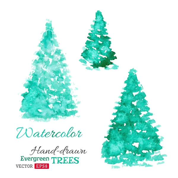 Vector watercolor evergreen trees. — Stock Vector