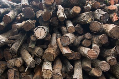 yakacak odun