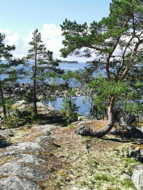 Taş tepeden suya güzel bir manzara.