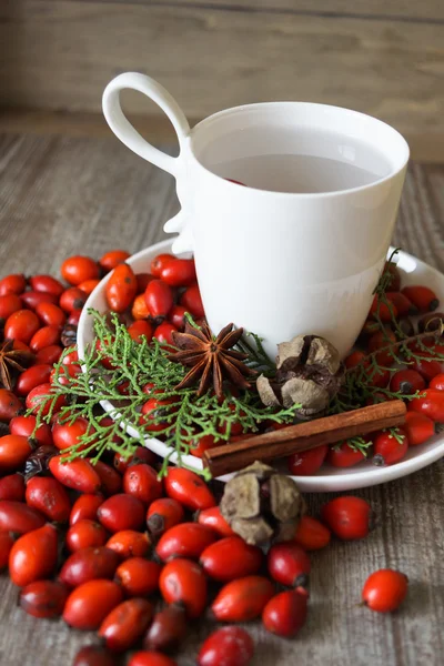 Cup of tea — Stock Photo, Image