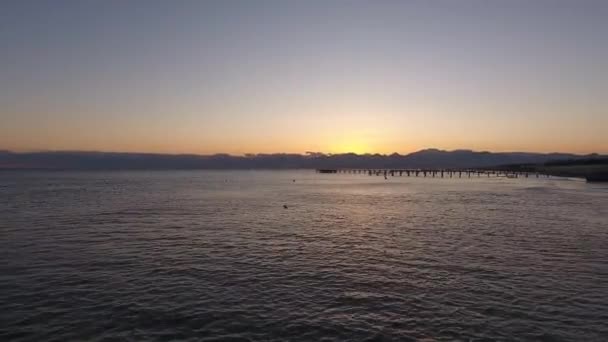 Ηρεμία όμορφη θάλασσα σμήνος γλάρος πουλιά πετούν ηλιοβασίλεμα. Ωκεανός αντανακλά ακτίνες του ήλιου. — Αρχείο Βίντεο