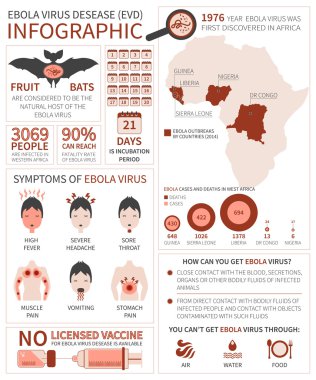 Infographic ölümcül ebola virüsü hakkında