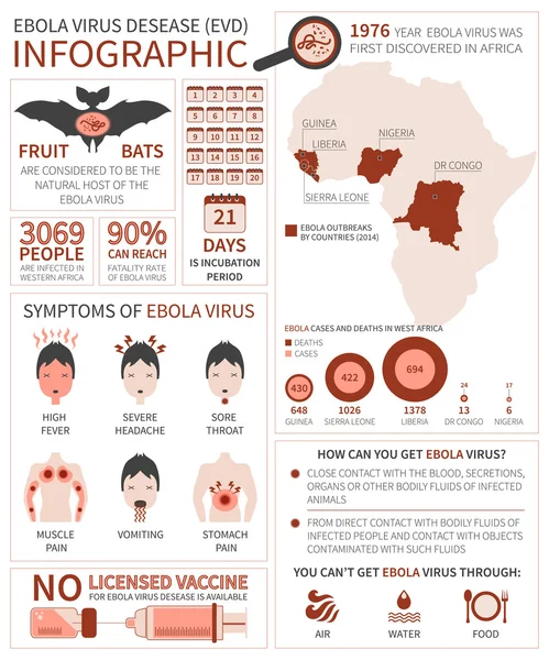 Infographic ölümcül ebola virüsü hakkında
