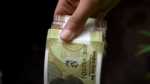 Superfast Indian Currency Notes Counting Women Hand — Video Stock