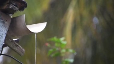 Water pouring from the pipe, having shallow depth of field and rain drops falling all around.