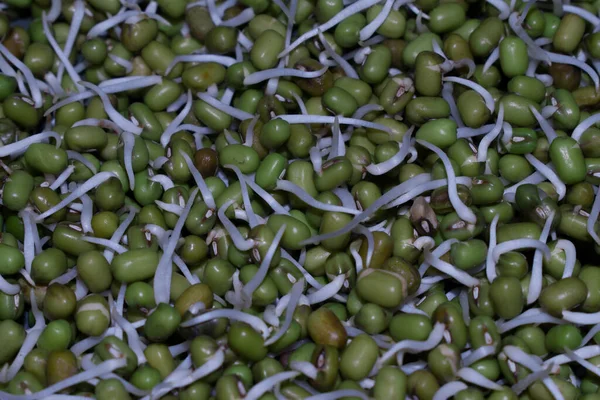 Indian Mung bean sprouts collection close up shot.