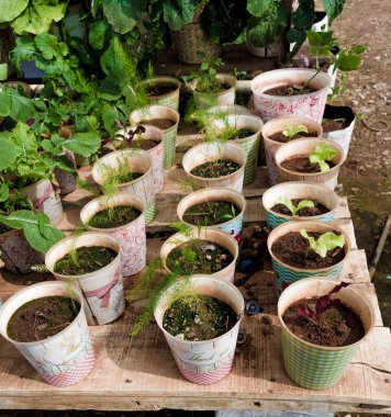 Bahçe işleri için çiçek saksıları.