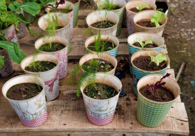 Bahçe işleri için çiçek saksıları.