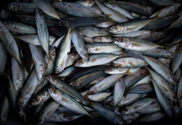 Bovenaanzicht Van Het Verzamelen Van Indische Makreelvis Koop Markt — Stockfoto