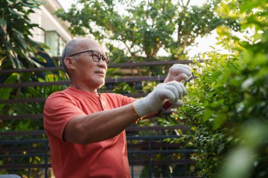 Kırmızı gömlekli yaşlı Asyalı adam bahçesinde çiçek buduyor, dışarıda vakit geçirirken gülümsüyor ve emekli olduktan sonra aktif kalıyor..