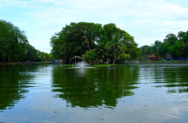 Sabah vakti ağaç ve yansıma öngörüsüyle göldeki manzaranın resmi..