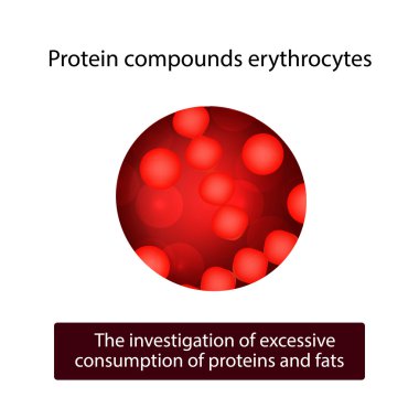 Protein eritrositler bileşikleri. Vektör illüstrasyon izole arka plan üzerinde