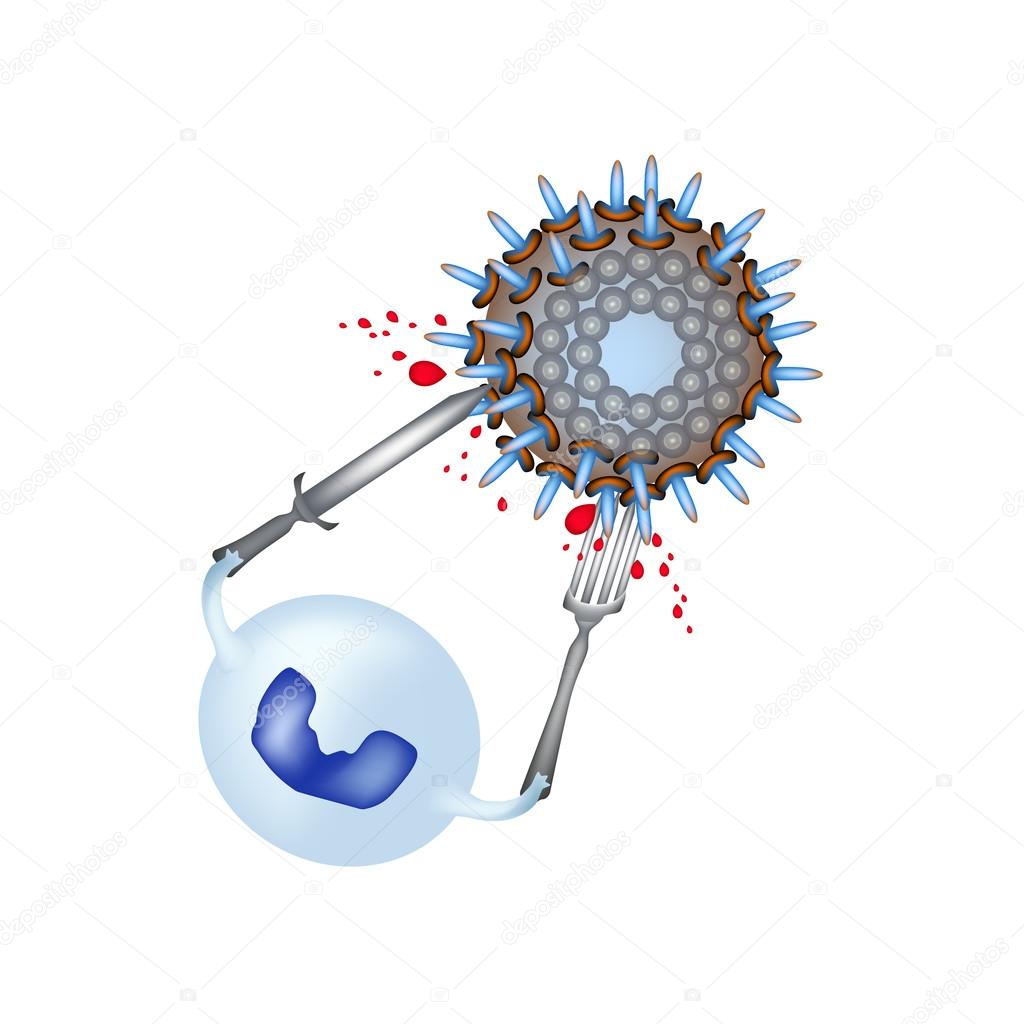 白血球ストックベクター ロイヤリティフリー白血球イラスト Depositphotos 白血球ストックベクター ロイヤリティフリー白血球イラスト Depositphotos