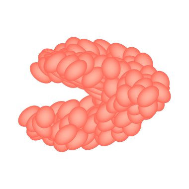 Submandibular tükürük bezi. Alt çene tükürük bezinin yapısı. İzole edilmiş arkaplanda vektör illüstrasyonu
