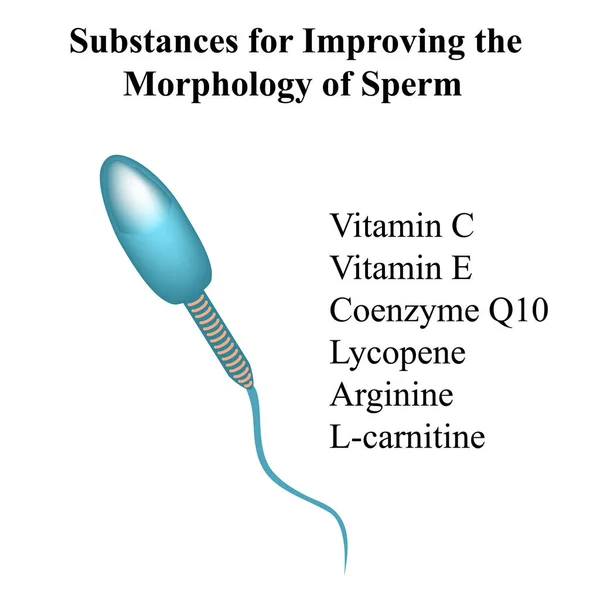 Substancje poprawiające morfologię plemników. sperma, witaminy z zapłodnienia. Ilustracja wektora na pojedynczym tle — Wektor stockowy