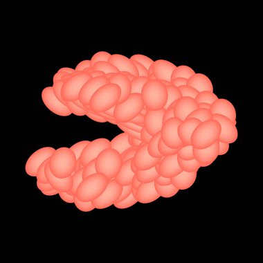 Submandibular tükürük bezi. Alt çene tükürük bezinin yapısı. İzole edilmiş arkaplanda vektör illüstrasyonu