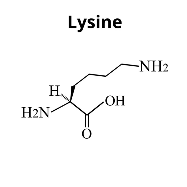 Lisina de aminoácido. Fórmula molecular química La lisina es un aminoácido. Ilustración vectorial sobre fondo aislado — Vector de stock