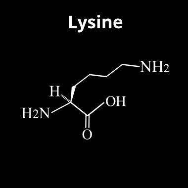 Amino asit Lysine. Kimyasal moleküler formül Lysine bir amino asittir. İzole edilmiş arkaplanda vektör illüstrasyonu