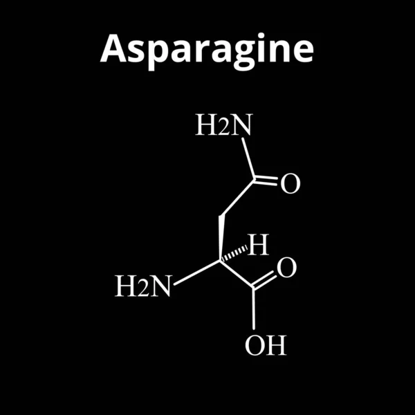 Spargel ist eine Aminosäure. Chemische Molekularformel Asparagin ist Aminosäure. Vektor-Illustration auf isoliertem Hintergrund — Stockvektor