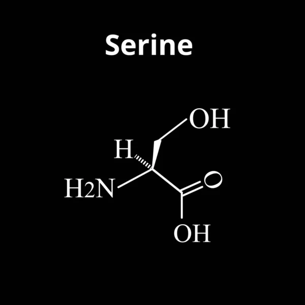 Serinaminosyra. Kemisk molekylär formel Serinaminosyra. Vektor illustration på isolerad bakgrund — Stock vektor