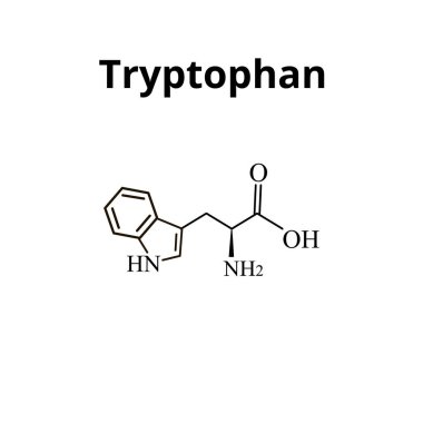 Tryptophan amino asit. Triptofan amino asidinin kimyasal moleküler formülü. İzole edilmiş arkaplanda vektör illüstrasyonu