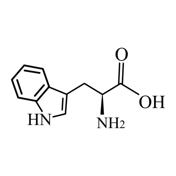 Tryptophan amino acid. Chemical molecular formula of tryptophan amino acid. Vector illustration on isolated background — Stock Vector