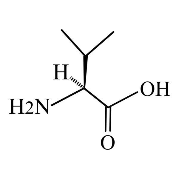 Valine aminozuur. Chemische moleculaire formule van valine aminozuur. Vectorillustratie op geïsoleerde achtergrond — Stockvector