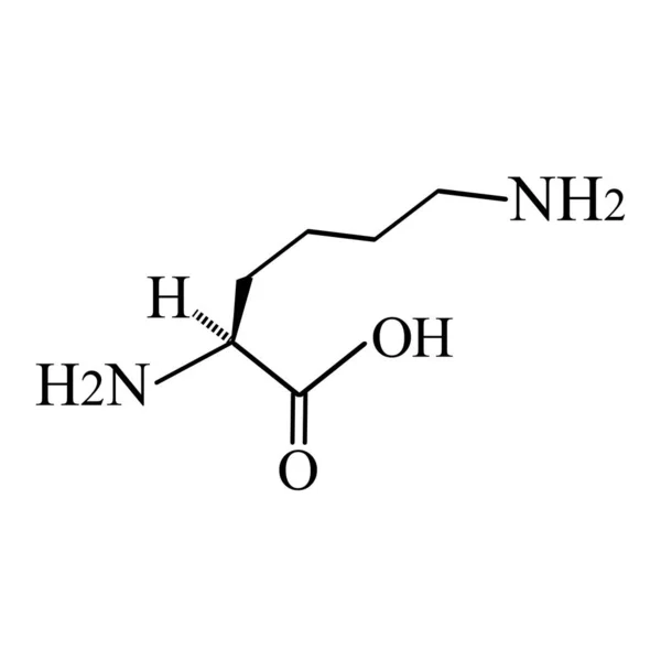 Amminoacido lisina. Formula chimica molecolare La lisina è un aminoacido. Illustrazione vettoriale su sfondo isolato — Vettoriale Stock