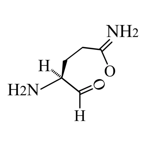 Аминокислота глютамин. Молекулярная формула глютамина из аминокислот. Векторная иллюстрация на изолированном фоне — стоковый вектор