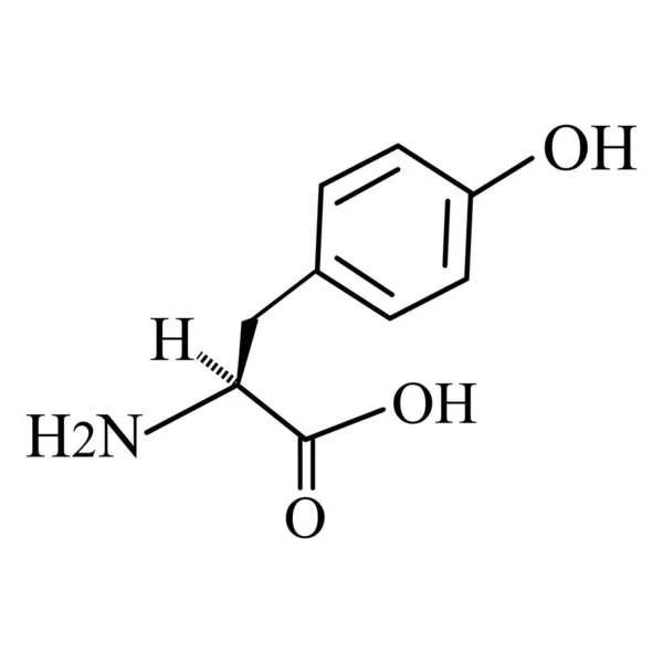 El aminoácido tirosina. Fórmula molecular química del aminoácido tirosina. Ilustración vectorial sobre fondo aislado — Vector de stock