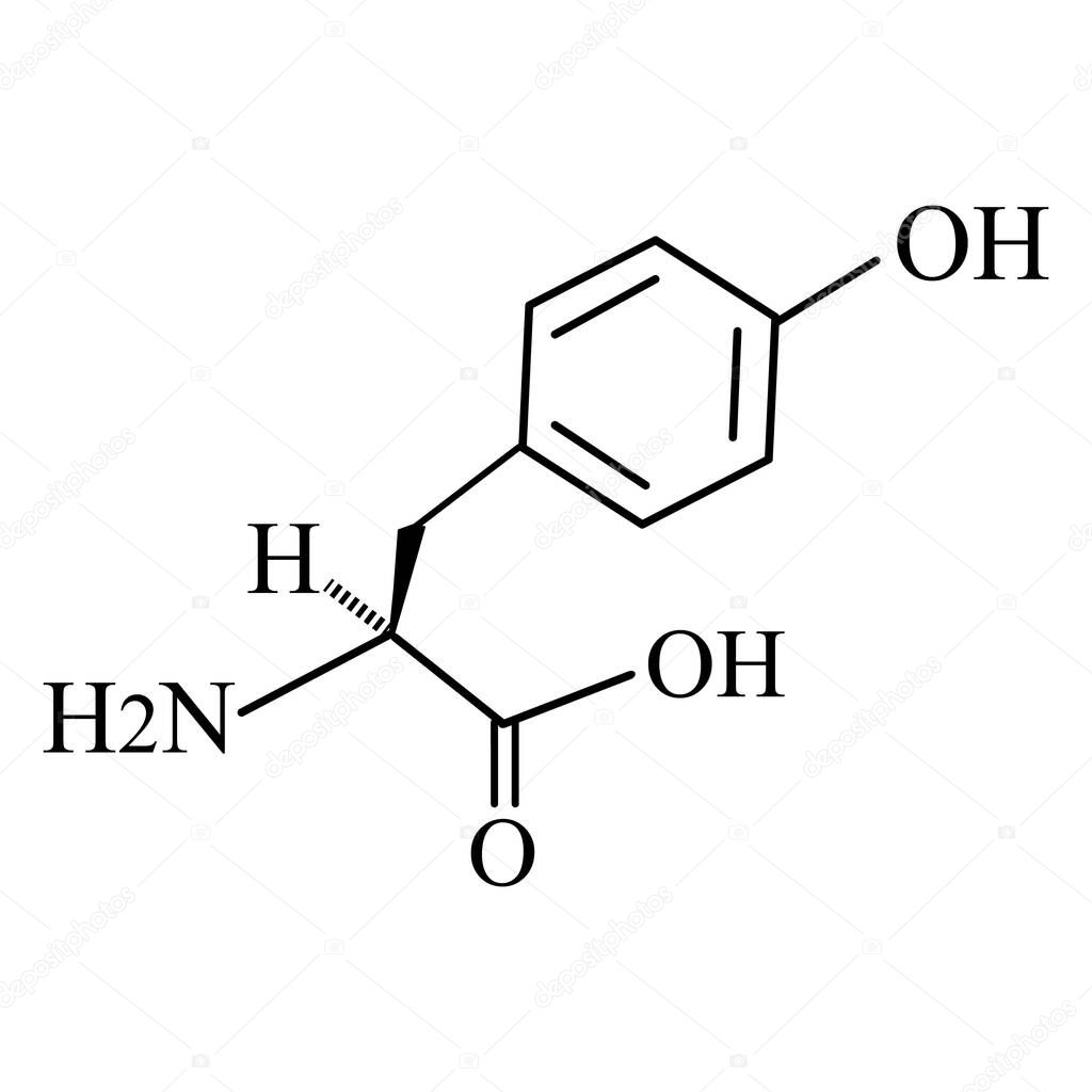 The amino acid Tyrosine. Chemical molecular formula of Tyrosine amino acid. Vector illustration on isolated background