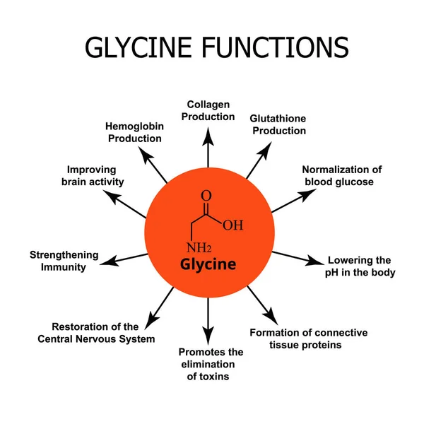 グリシンの機能.アミノ酸グリシン化学分子式。孤立した背景のベクトル図 — ストックベクタ