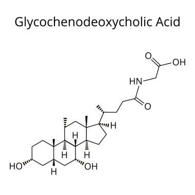 Glycochenodeoxycholic asit. Bile asit. Kimyasal moleküler formül Glycochenodeoxycholic asit. İzole edilmiş arkaplanda vektör illüstrasyonu