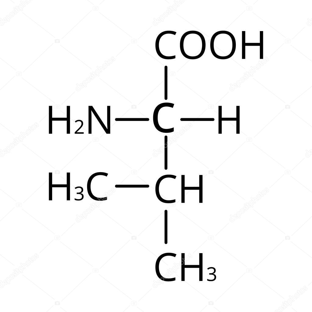 Valine amino acid. Chemical molecular formula of valine amino acid. Vector illustration on isolated background