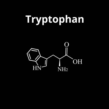 Tryptophan amino asit. Triptofan amino asidinin kimyasal moleküler formülü. İzole edilmiş arkaplanda vektör illüstrasyonu