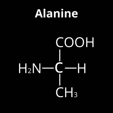Alanine bir amino asit. Kimyasal moleküler formül Alanine amino asit. İzole edilmiş arkaplanda vektör illüstrasyonu
