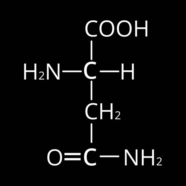 Спаржа - це амінокислота. Хімічна молекулярна формула Asparagine - це амінокислота. Вікторна ілюстрація на ізольованому тлі — стоковий вектор