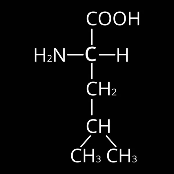 Аминокислотный лейцин. Химическая молекулярная формула аминокислотного лейцина. Векторная иллюстрация на изолированном фоне — стоковый вектор