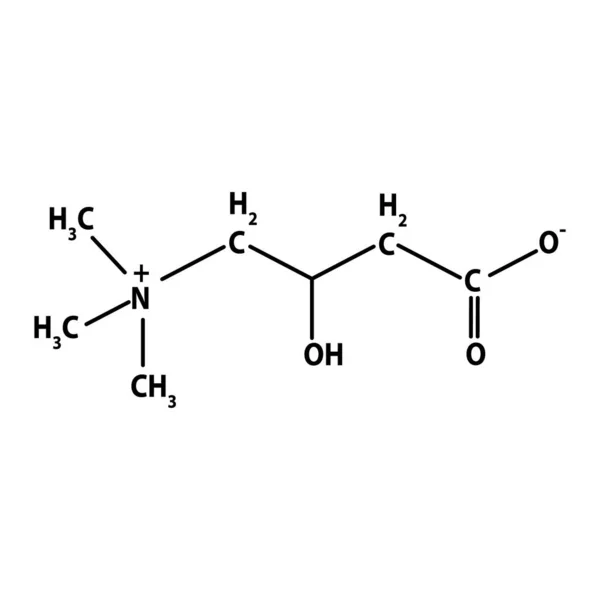 Vitamina B11. L-carnitina Fórmula química molecular Infografías. Ilustración vectorial sobre fondo aislado. — Vector de stock