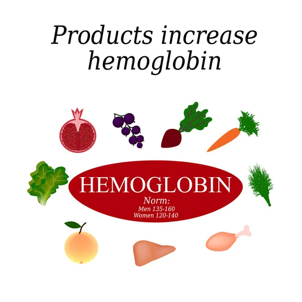 Гемоглобин. Еда увеличивает гемоглобин в крови. Векторная иллюстрация на изолированном фоне — стоковый вектор