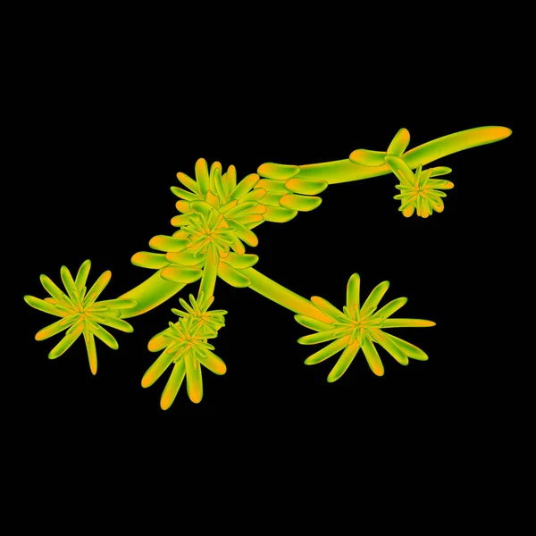 C. kefyr candida. Hongos patógenos parecidos a levaduras de estructura morfológica tipo Candida. Ilustración vectorial — Vector de stock