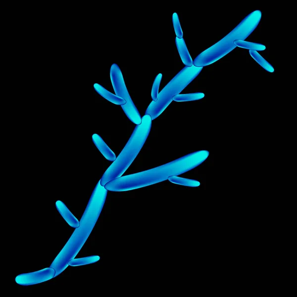 トロピカリス・カンダ。カンジダ型形態学的構造の病原性酵母様真菌。孤立した背景のベクトル図 — ストックベクタ