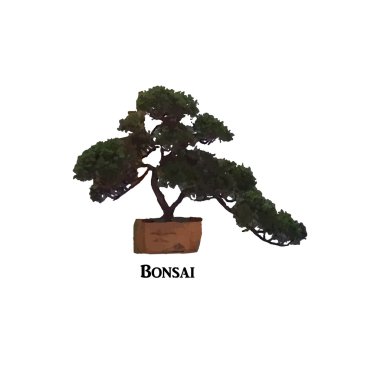 Yalıtılmış bir arka plan üzerinde güzel kabarık bonsai
