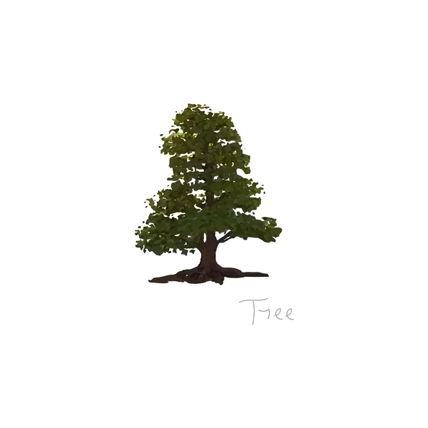 Красивое дерево на изолированном фоне — стоковый вектор