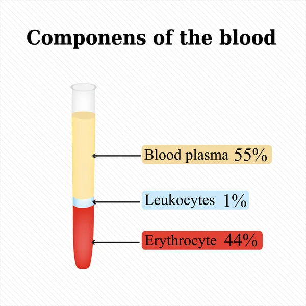 Los componentes en la sangre. Infografías. Ilustración vectorial — Vector de stock