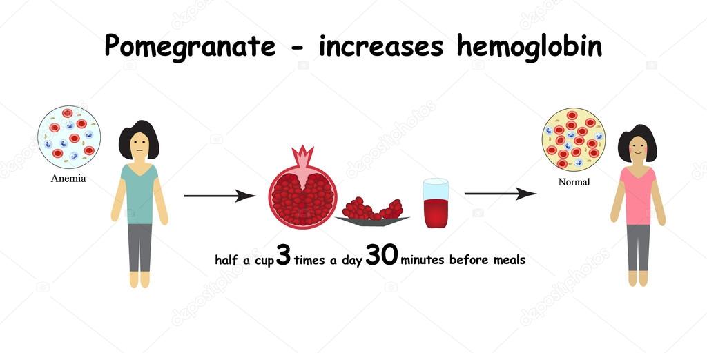 Anemia. The reduced amount of red blood cells. Garnet increases hemoglobin in the blood. Infographics. Vector illustration