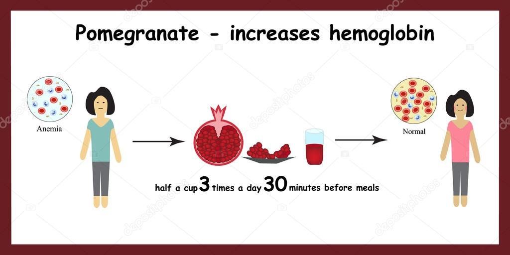 Anemia. The reduced amount of red blood cells. Garnet increases hemoglobin in the blood. Infographics. Vector illustration