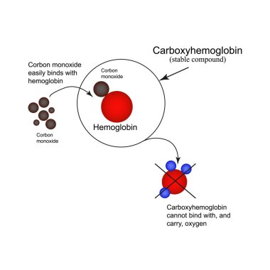 Karboksihemoglobin. Hemoglobin karbonmonoksit katılmadan. Oksijen taşımak için yetersizlik. Karbon monoksit zehirlenmesi. Infographics. Vektör çizim